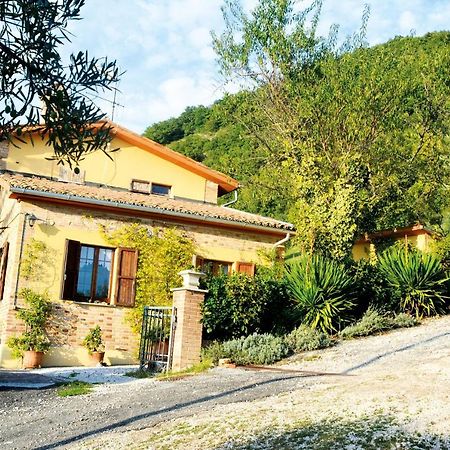 Villa Mischianti Gubbio Zewnętrze zdjęcie