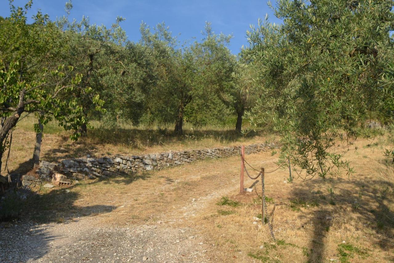 Villa Mischianti Gubbio Zewnętrze zdjęcie